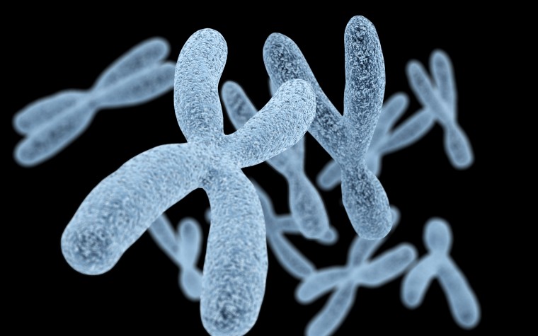 BPH and chromosomal abnormalities