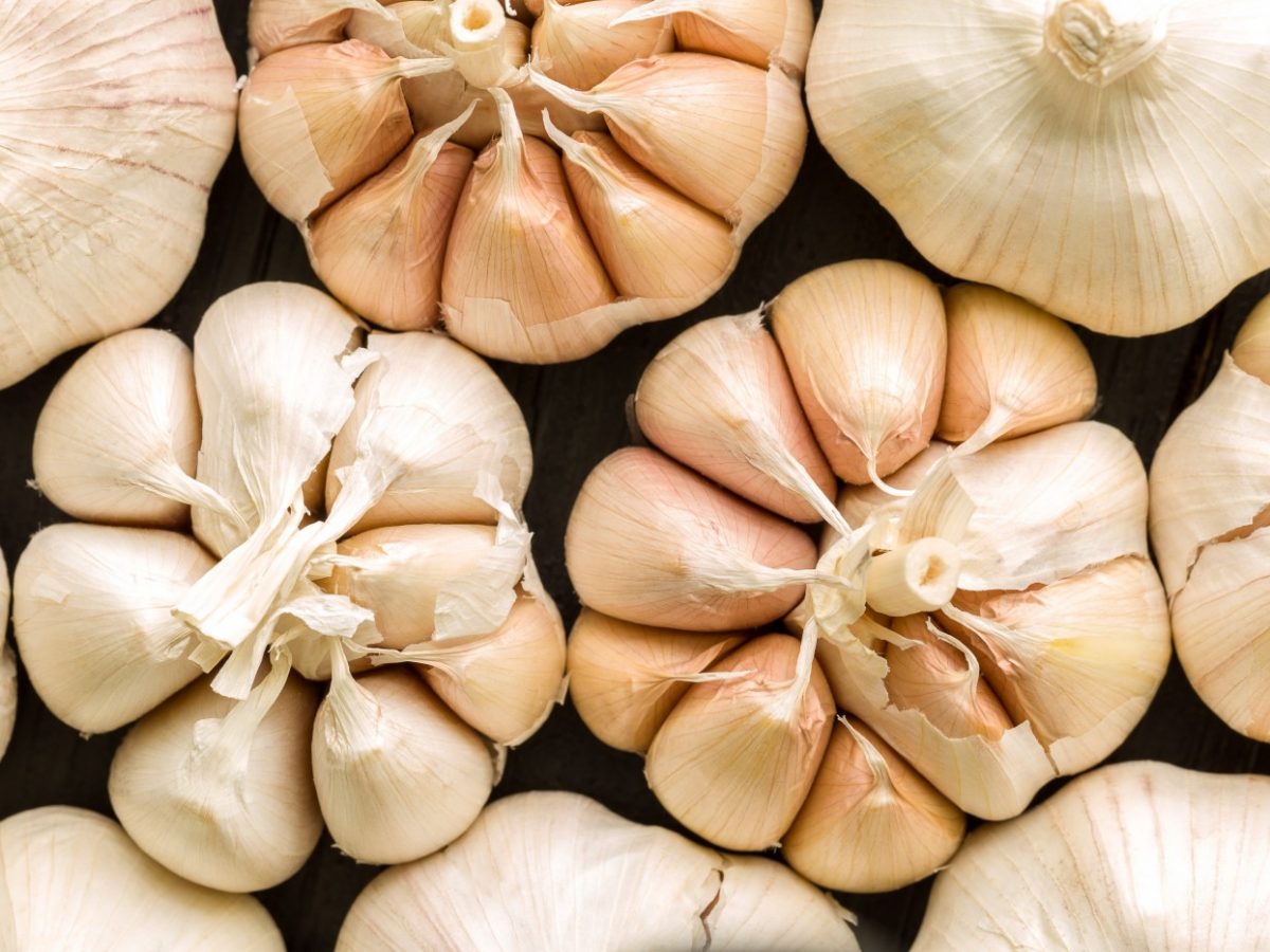 can garlic shrink enlarged prostate)