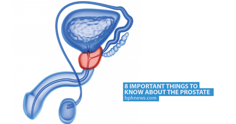 8 Important Things to Know About the Prostate - BPH News